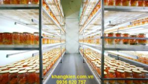 anh-sang-trong-phong-nuoi-duoc-do-kiem-tra-thuong-xuyen