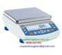 ps6100-r1